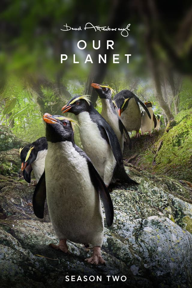 Our Planet II