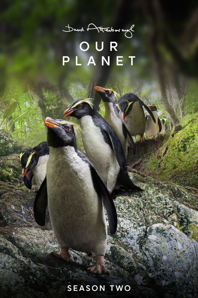 Our Planet II