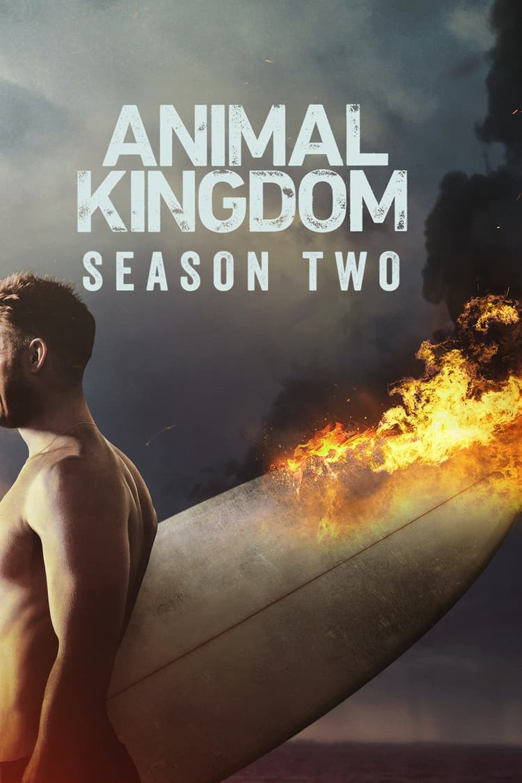 Broken Boards