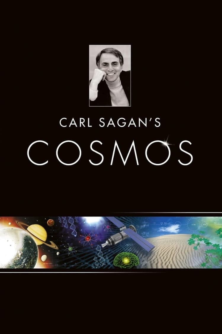 The Shores of the Cosmic Ocean