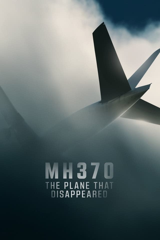The Pilot