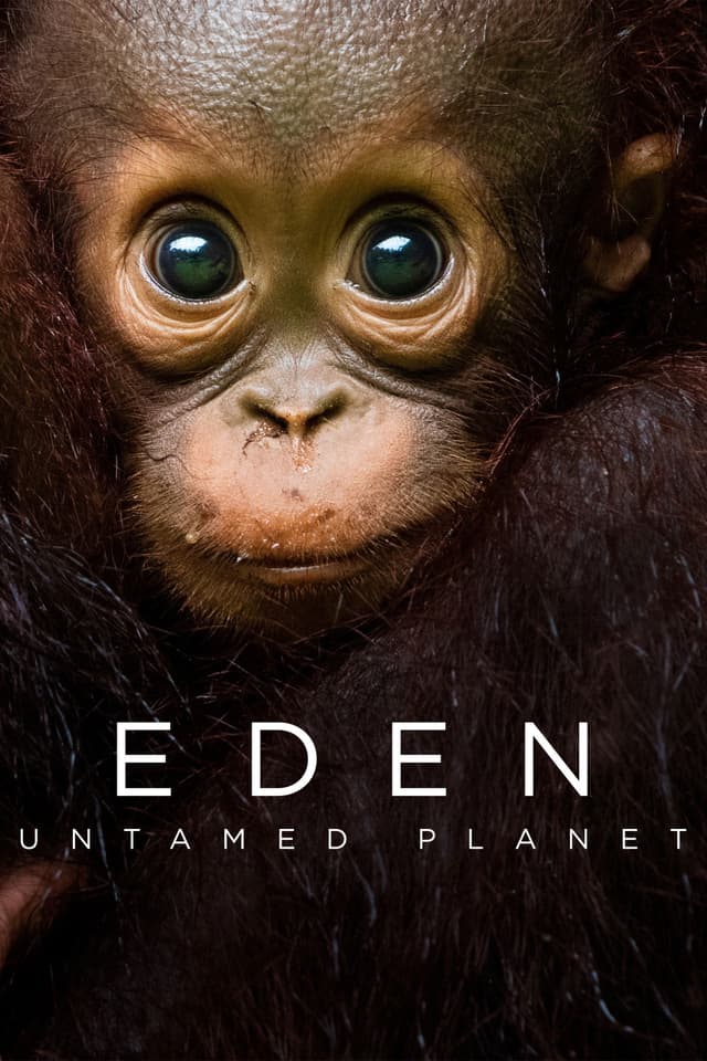 Borneo: Sacred Forest