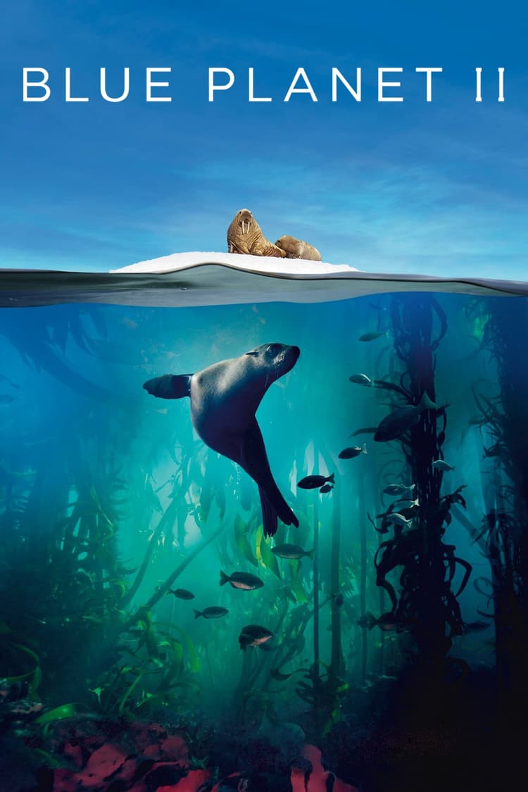 One Ocean