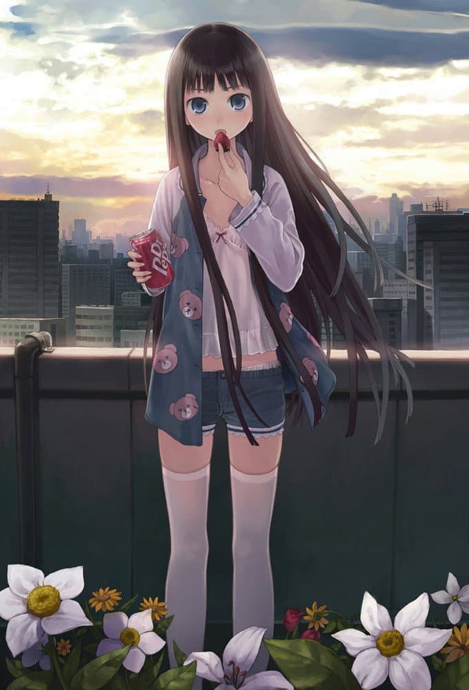 The Full Account of Hanamaru Soup