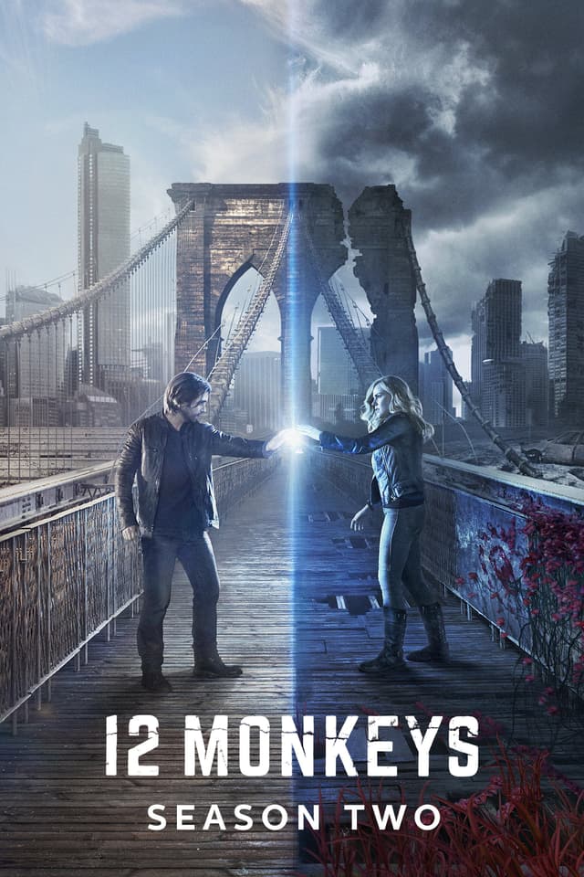 Year of the Monkey
