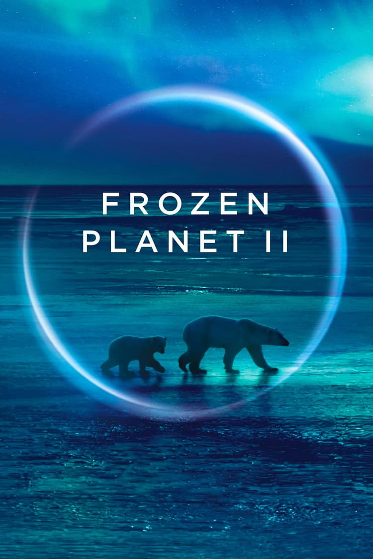 Frozen Lands
