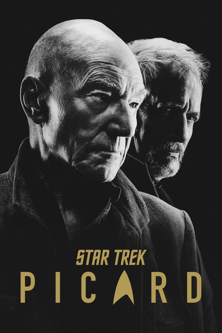 The Star Gazer