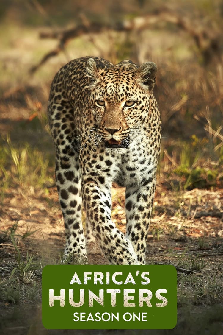 The Hungry Leopard