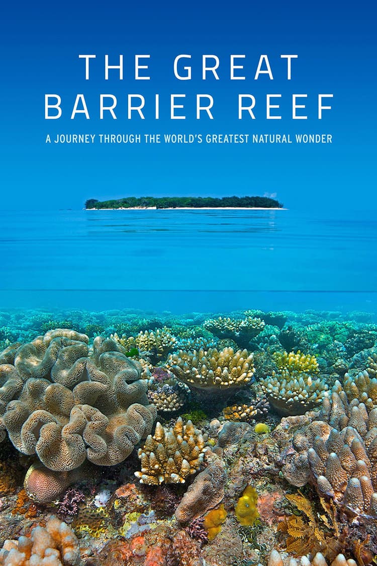 Reef and Beyond