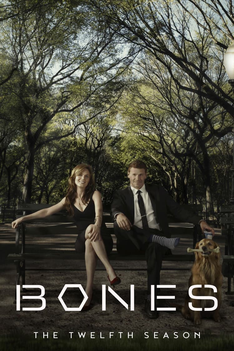 Season 12 - The Final Chapter