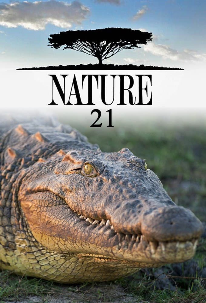 Season 21