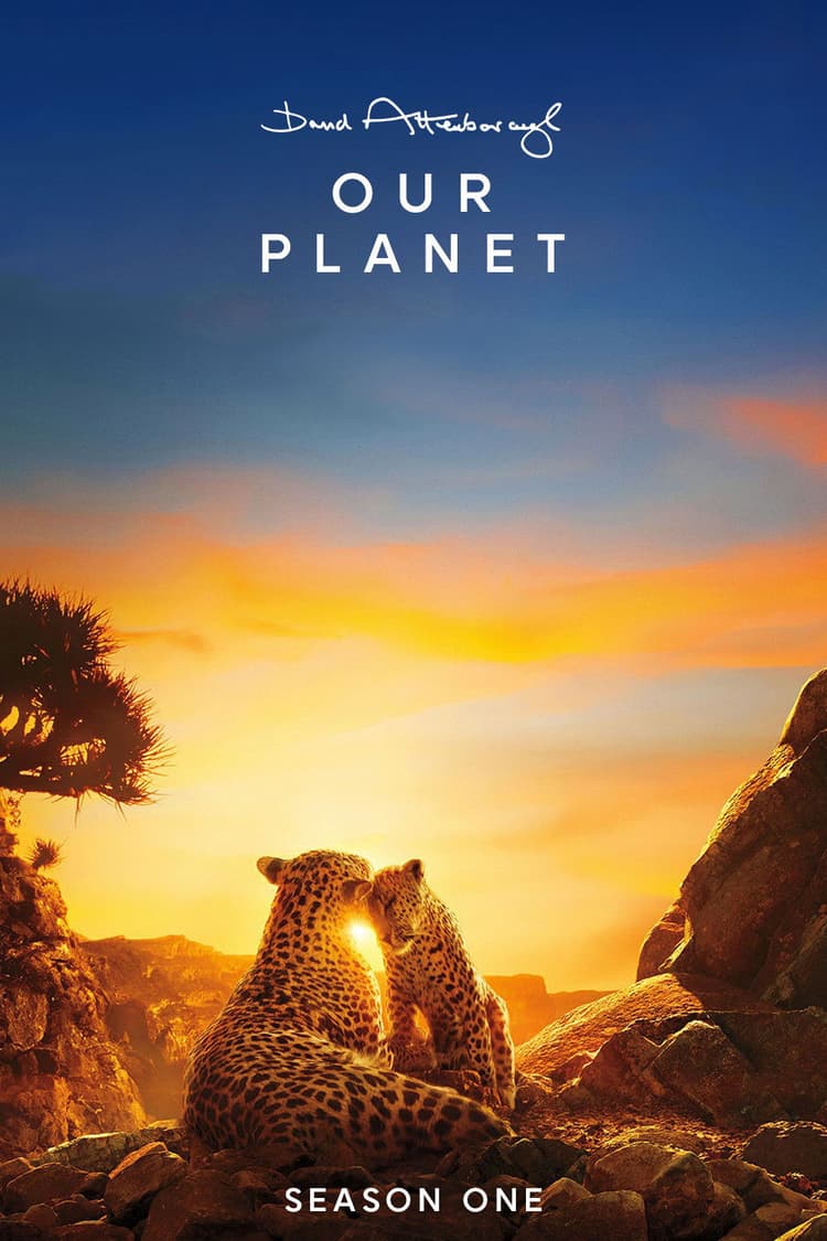 One Planet