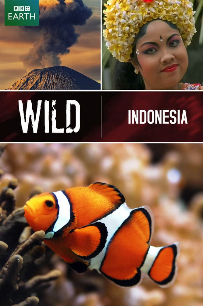 Creatures of Island Kingdoms