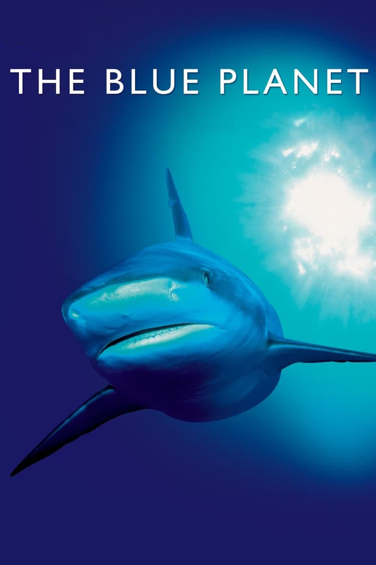The Deep
