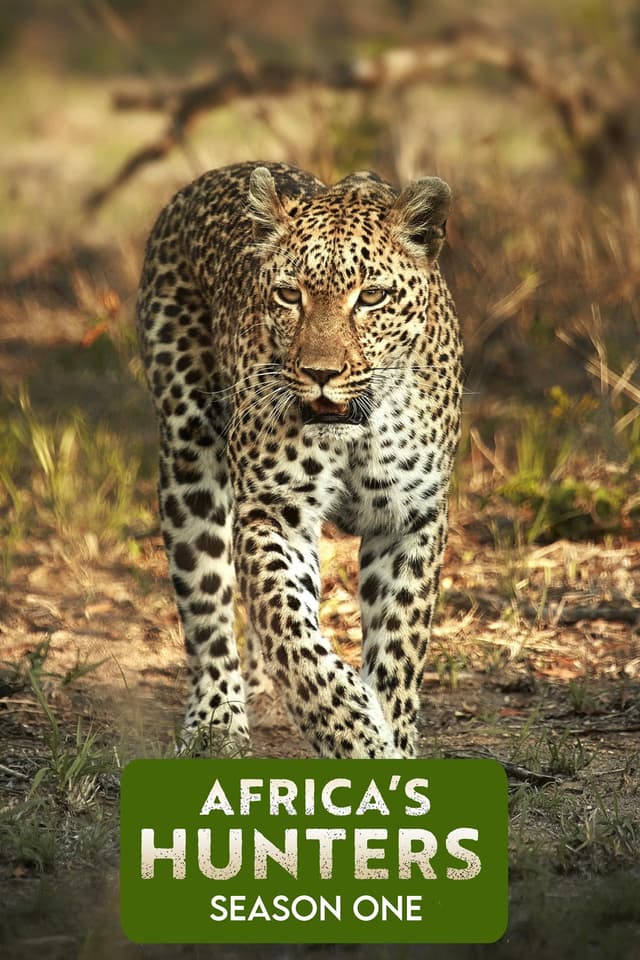 The Hungry Leopard